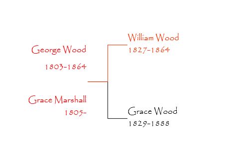 A brief outline of the Wood family